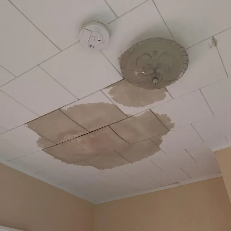 Ceiling Water Damage Repair in Crawford County, IN