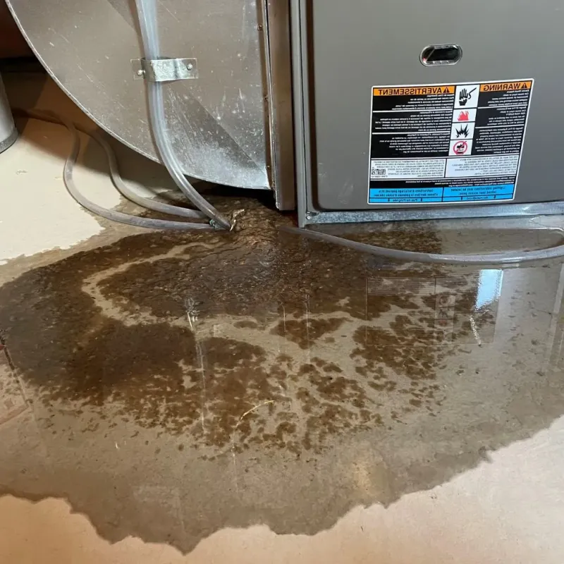 Pipe Burst and Leak Restoration in Crawford County, IN