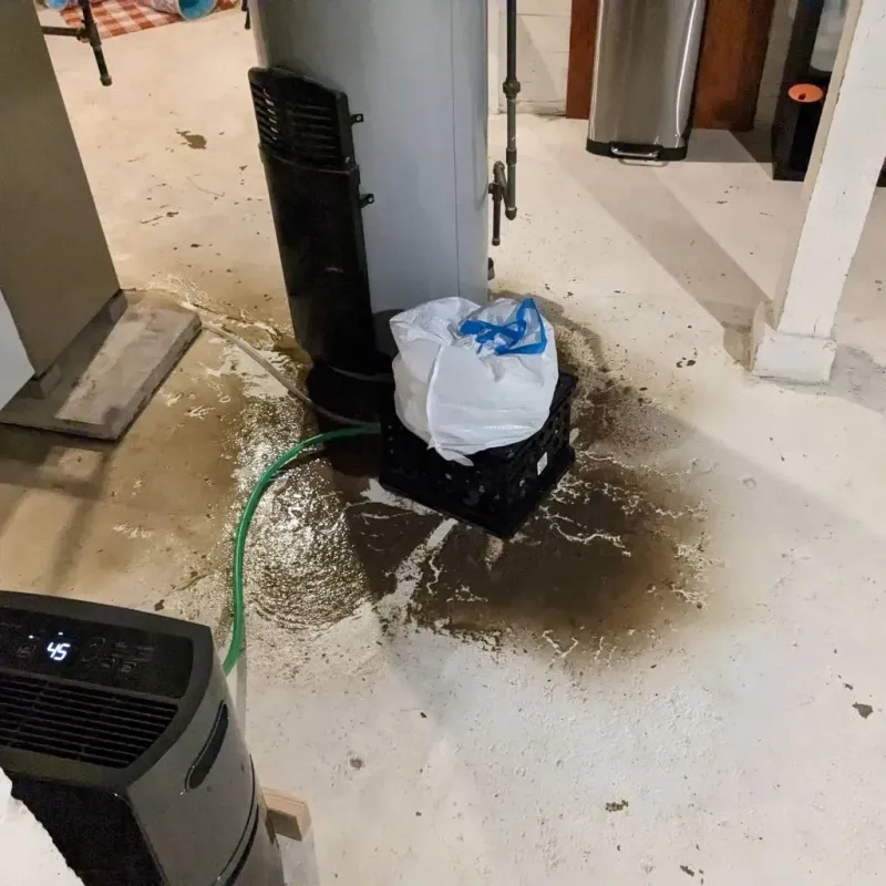 Sewage Backup Cleanup Service in Crawford County, IN